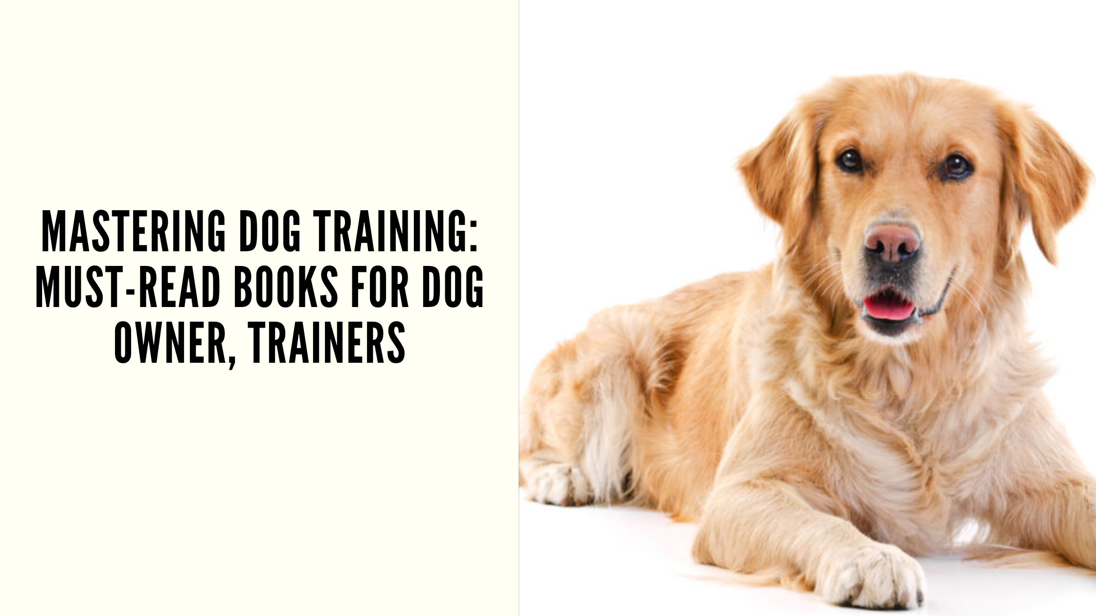 Mastering Dog Training: Must-Read Books for Dog Owner, Trainers